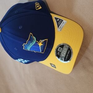 Minnesota Twins Baseball Cap